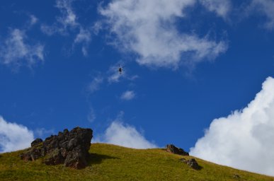 dsc_0460